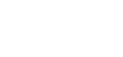 Turtle Fest
